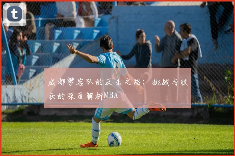 成都攀岩队的反击之路：挑战与收获的深度解析MBA