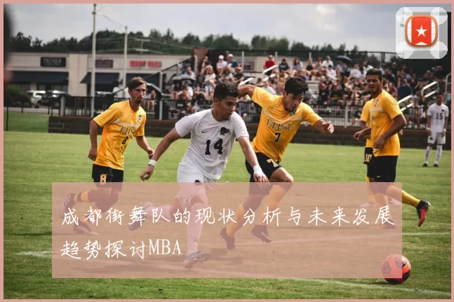 成都街舞队的现状分析与未来发展趋势探讨MBA